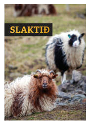 Síða 15
