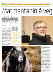 Síða 16