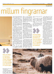 Síða 17