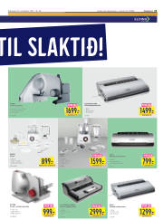 Síða 21
