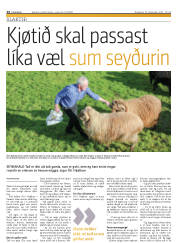 Síða 24
