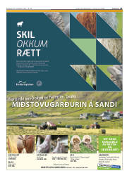 Síða 41