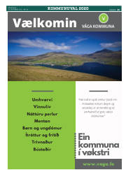 Síða 45