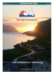 Síða 47
