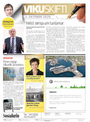 Síða 2
