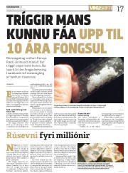 Síða 17