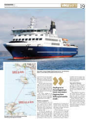Síða 19