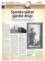 Síða 20
