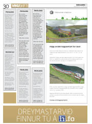Síða 30