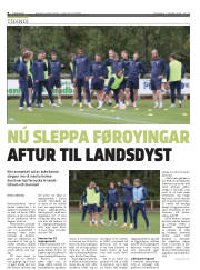 Síða 8