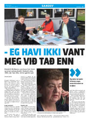 Síða 31