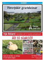 Síða 35