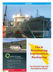 Síða 39