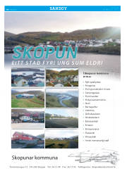 Síða 40