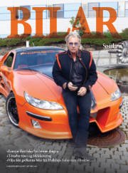 Síða 41