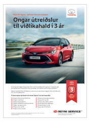 Síða 55