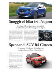 Síða 58