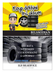 Síða 61