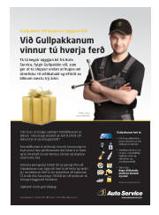 Síða 65
