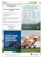 Síða 3