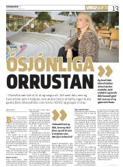 Síða 13