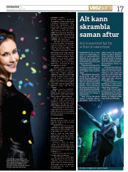 Síða 17