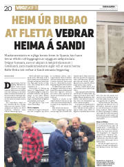 Síða 20