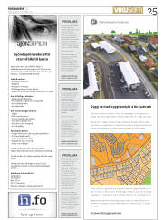 Síða 25