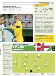 Síða 29