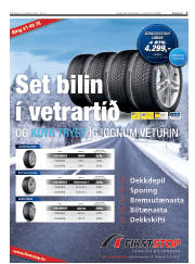 Síða 3