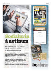 Síða 7