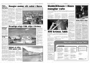 Síða 3