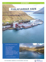 Síða 21