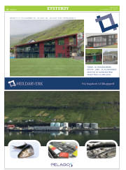 Síða 22
