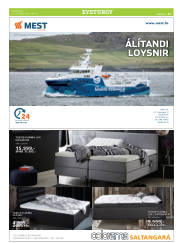 Síða 27