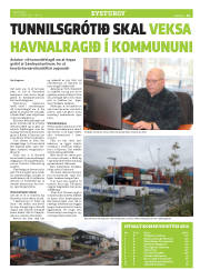 Síða 29