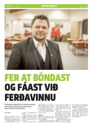 Síða 33