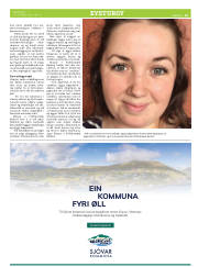 Síða 35