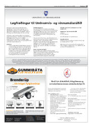 Síða 43