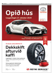 Síða 48