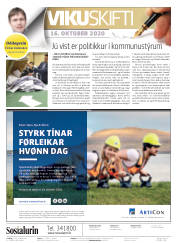 Síða 2