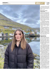 Síða 17