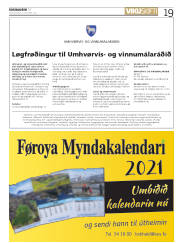 Síða 19