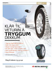 Síða 3