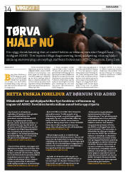 Síða 14