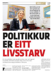 Síða 17