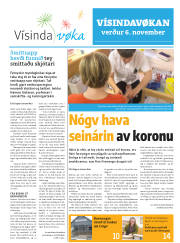 Síða 29