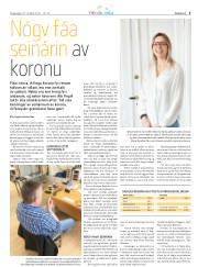 Síða 31
