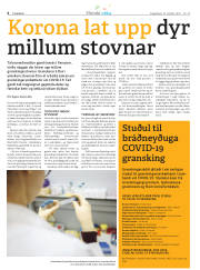 Síða 34