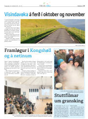 Síða 45